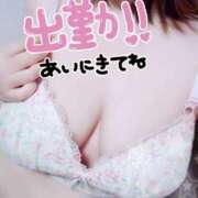 ヒメ日記 2025/06/05 09:18 投稿 みひろ☆業界未経験清楚系 松戸人妻城