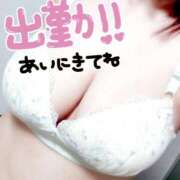 ヒメ日記 2025/08/10 09:49 投稿 みひろ☆業界未経験清楚系 松戸人妻城