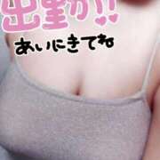 ヒメ日記 2025/08/11 09:39 投稿 みひろ☆業界未経験清楚系 松戸人妻城