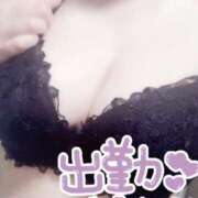 ヒメ日記 2025/08/28 08:34 投稿 みひろ☆業界未経験清楚系 松戸人妻城