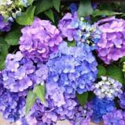 ヒメ日記 2025/06/04 13:52 投稿 ゆき 熟女の風俗最終章　越谷店