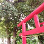 ヒメ日記 2025/06/06 17:34 投稿 ゆき 熟女の風俗最終章　越谷店