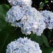 ヒメ日記 2025/06/23 14:02 投稿 ゆき 熟女の風俗最終章　越谷店