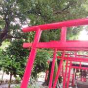 ヒメ日記 2025/06/25 14:12 投稿 ゆき 熟女の風俗最終章　越谷店