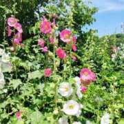 ヒメ日記 2025/06/01 17:46 投稿 ゆき 熟女の風俗最終章 西川口店