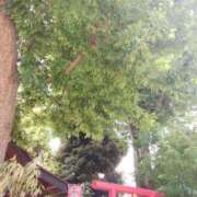 ヒメ日記 2025/06/08 13:56 投稿 ゆき 熟女の風俗最終章 西川口店