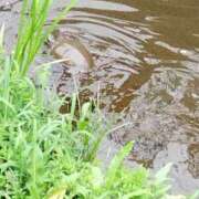 ヒメ日記 2025/06/08 17:02 投稿 ゆき 熟女の風俗最終章 西川口店