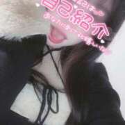 なつ かるーく自己紹介から モアグループ神栖人妻花壇