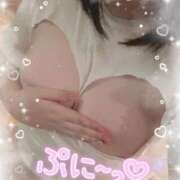 ヒメ日記 2025/12/13 12:58 投稿 はるな 宮城大崎古川ちゃんこ