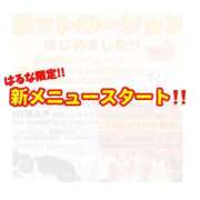 ヒメ日記 2025/12/15 22:06 投稿 はるな 宮城大崎古川ちゃんこ