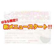 ヒメ日記 2025/12/22 12:38 投稿 はるな 宮城大崎古川ちゃんこ