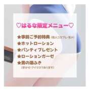 ヒメ日記 2025/12/22 16:28 投稿 はるな 宮城大崎古川ちゃんこ