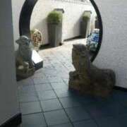 ヒメ日記 2025/10/30 10:06 投稿 まりな 熟女総本店 日本橋ミナミエリア店