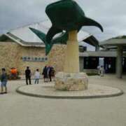 ヒメ日記 2025/11/30 19:46 投稿 まりな 熟女総本店 日本橋ミナミエリア店