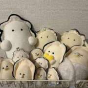 ヒメ日記 2025/07/28 07:05 投稿 ツユ ファーストレディー