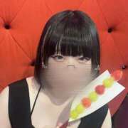 ヒメ日記 2025/09/05 09:27 投稿 ツユ ファーストレディー