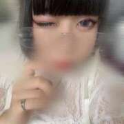 ヒメ日記 2025/09/18 00:34 投稿 ツユ ファーストレディー