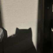 ヒメ日記 2025/10/01 16:33 投稿 ツユ ファーストレディー