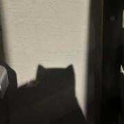 ヒメ日記 2025/10/19 22:03 投稿 ツユ ファーストレディー