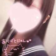 ヒメ日記 2026/06/15 00:34 投稿 ももあ みつらん鉄道