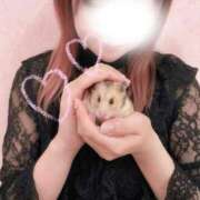 ヒメ日記 2026/10/08 11:25 投稿 『ねね』 ESSENCE