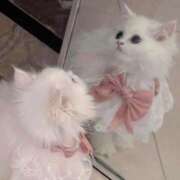 ヒメ日記 2025/05/18 20:33 投稿 すい SCREEN(スクリーン)