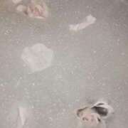 ヒメ日記 2025/07/10 22:48 投稿 すい SCREEN(スクリーン)