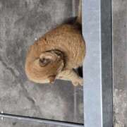 ヒメ日記 2025/09/16 15:15 投稿 木下亜美 熟女パラダイス鶯谷店(カサブランカグループ)