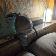 ヒメ日記 2026/04/18 17:37 投稿 木下亜美 熟女パラダイス鶯谷店(カサブランカグループ)