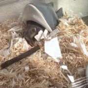 ヒメ日記 2025/09/19 01:06 投稿 ゆうり♡マット・AFなんでもOK ドMなバニーちゃん 柴田店