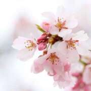 ヒメ日記 2025/07/14 13:40 投稿 みな Beppin house