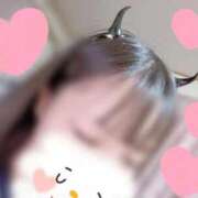 ヒメ日記 2025/09/09 19:40 投稿 みな Beppin house