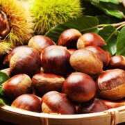 ヒメ日記 2025/09/23 08:00 投稿 みな Beppin house