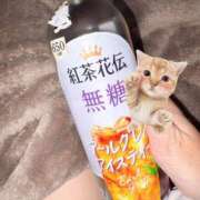 ヒメ日記 2025/10/25 23:56 投稿 みな Beppin house