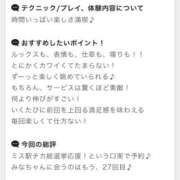 ヒメ日記 2025/11/12 17:21 投稿 みな Beppin house