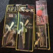 ヒメ日記 2025/11/16 11:30 投稿 みな Beppin house