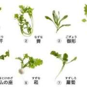 ヒメ日記 2026/01/07 17:25 投稿 みな Beppin house