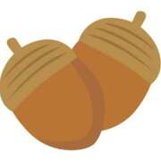 ヒメ日記 2026/09/30 11:50 投稿 みな Beppin house