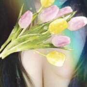 ヒメ日記 2025/07/25 19:40 投稿 柿谷杏里(かきたにあんり) 五十路マダムエクスプレス厚木店(カサブランカグループ)