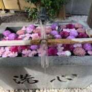 ヒメ日記 2025/09/22 19:56 投稿 柿谷杏里(かきたにあんり) 五十路マダムエクスプレス厚木店(カサブランカグループ)