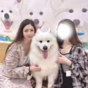 ヒメ日記 2025/06/16 19:06 投稿 なつみ セレブクエスト-omiya-