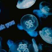 ヒメ日記 2025/06/01 08:14 投稿 五条あきら(ごじょうあきら) Lambretta（ランブレッタ）甲府