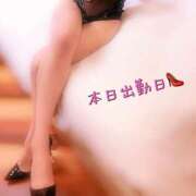 ヒメ日記 2025/06/02 10:54 投稿 五条あきら(ごじょうあきら) Lambretta（ランブレッタ）甲府