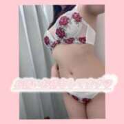 ヒメ日記 2025/05/15 15:04 投稿 日高あかり(ひだかあかり) Lambretta（ランブレッタ）甲府