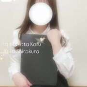 ヒメ日記 2025/05/07 19:14 投稿 白倉優香(しらくらゆうか) Lambretta（ランブレッタ）甲府