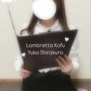 ヒメ日記 2025/05/11 10:14 投稿 白倉優香(しらくらゆうか) Lambretta（ランブレッタ）甲府