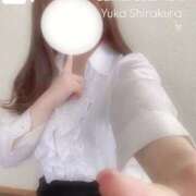 ヒメ日記 2025/05/11 11:14 投稿 白倉優香(しらくらゆうか) Lambretta（ランブレッタ）甲府