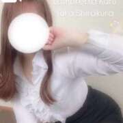 ヒメ日記 2025/05/11 18:04 投稿 白倉優香(しらくらゆうか) Lambretta（ランブレッタ）甲府