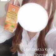 ヒメ日記 2025/05/30 18:34 投稿 白倉優香(しらくらゆうか) Lambretta（ランブレッタ）甲府