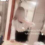 ヒメ日記 2025/06/02 10:04 投稿 白倉優香(しらくらゆうか) Lambretta（ランブレッタ）甲府